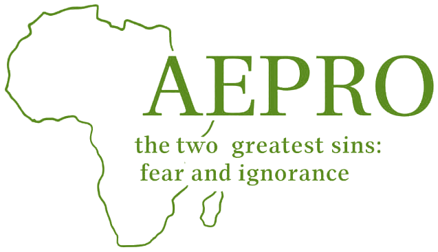 AEPRO, Afrique Énergie Pro