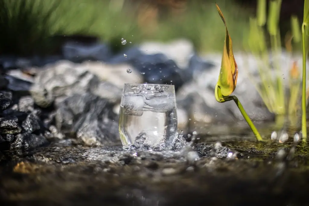 Pourquoi et comment une bonne qualité d&rsquo;eau assure le bon état de notre santé